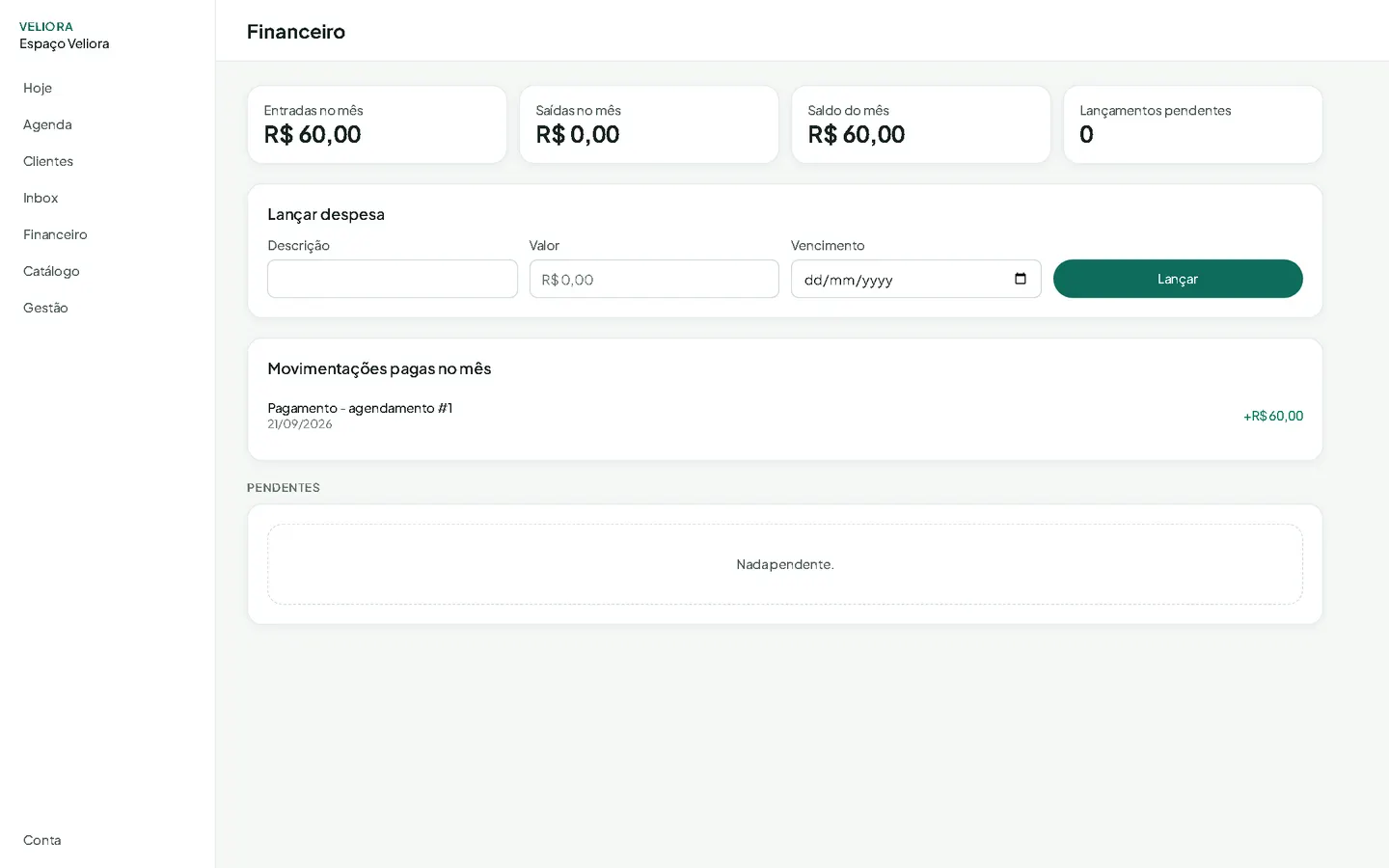 Financeiro com entradas, saídas e lançamento de despesa